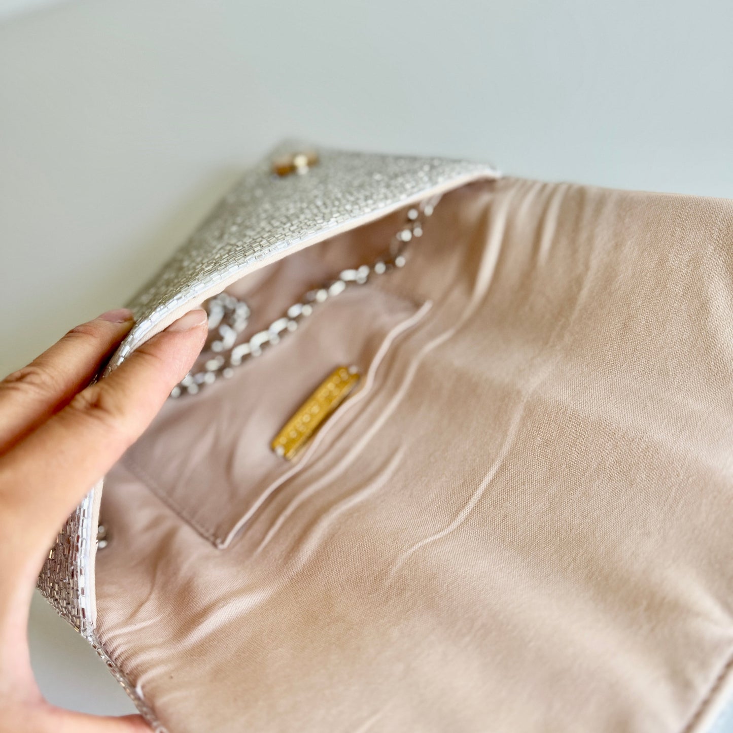 Steel Cut Beaded Petite Clutch Platinum